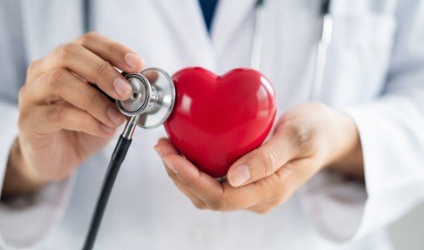 Physician holding a heart model while listening with a stethoscope